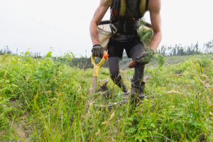 Onetreeplanted green planting trees